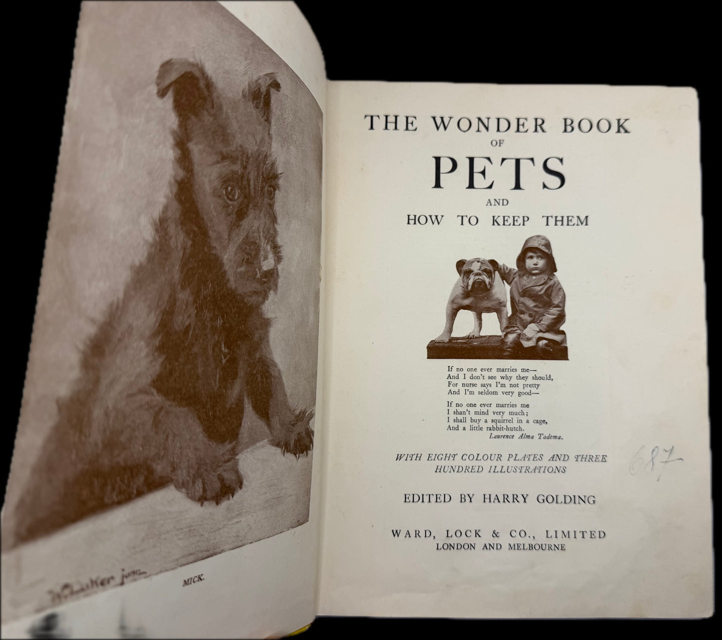 The Wonder Book of Pets And How To Keep Them