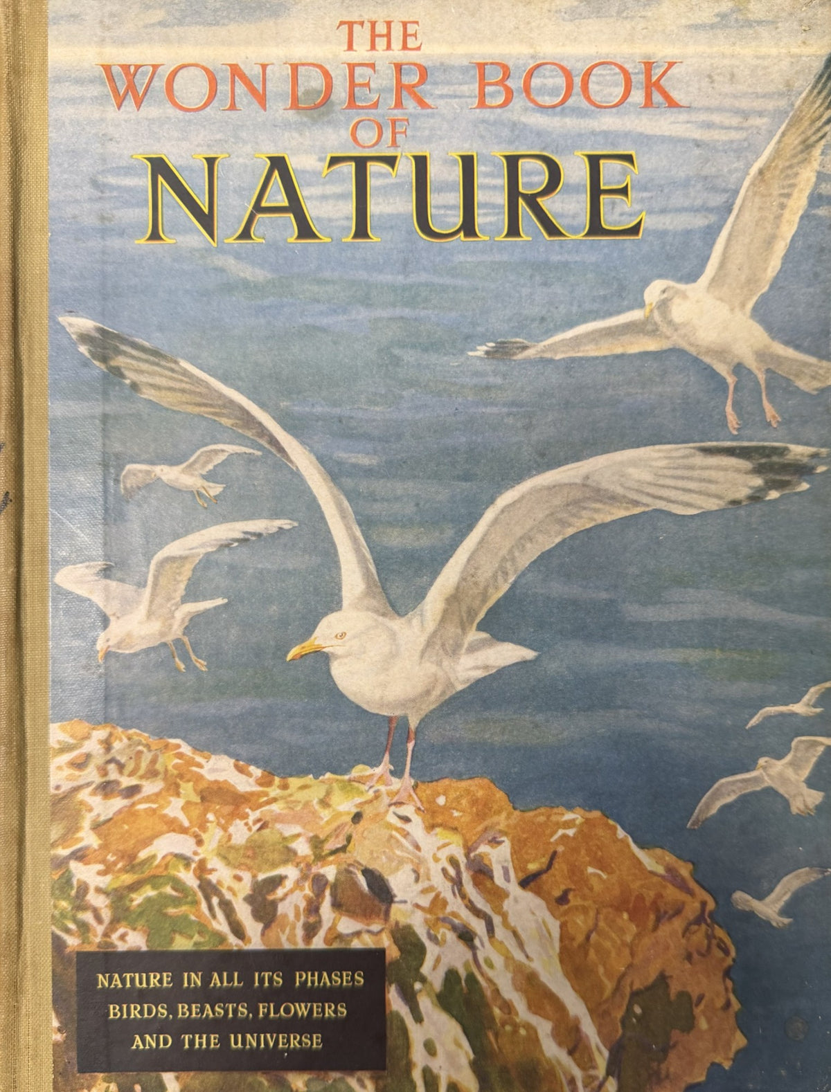 Front cover of The Wonder Book of Nature for Boys and Girls, ninth edition, 1930s, with gulls over a cliff